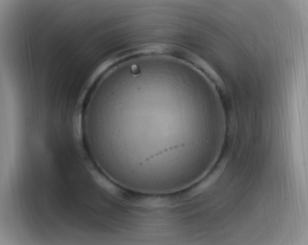X0000115521075200911061412