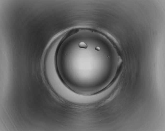X0000115521077200911061412