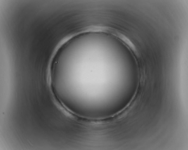 X0000115521080200911061412