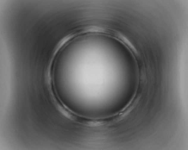 X0000115521082200911061412