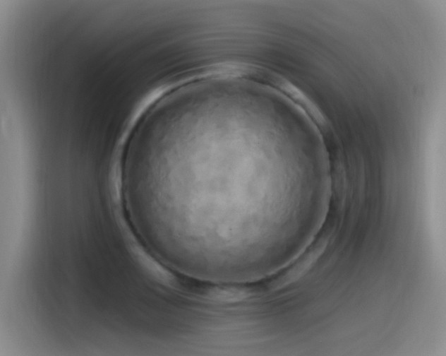 X0000115521083200911061412