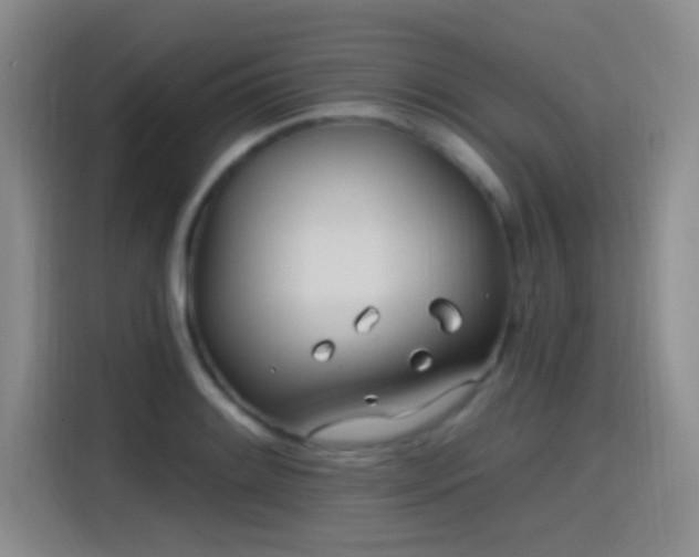 X0000115521084200911061412