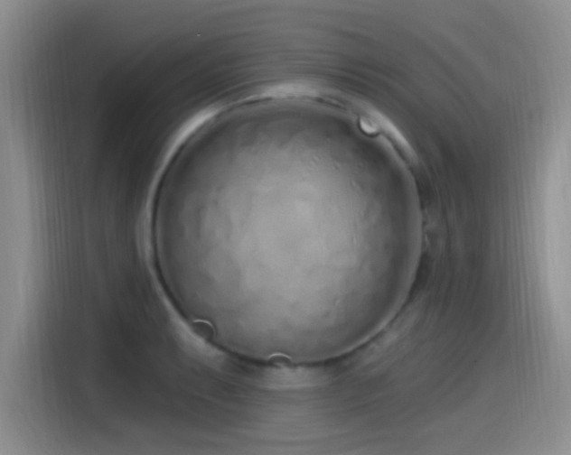 X0000115521087200911061412