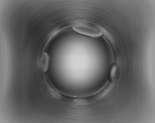 X0000115521089200911061412