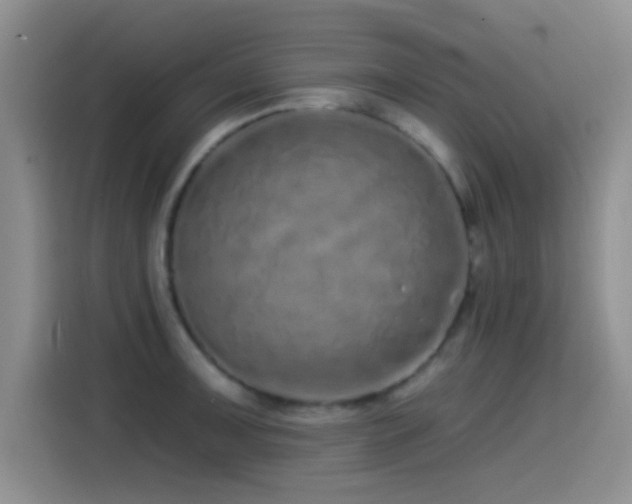 X0000115521091200911061412
