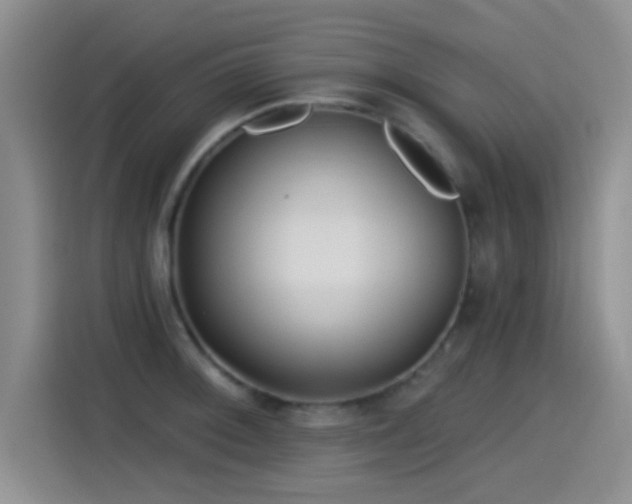X0000115521092200911061412