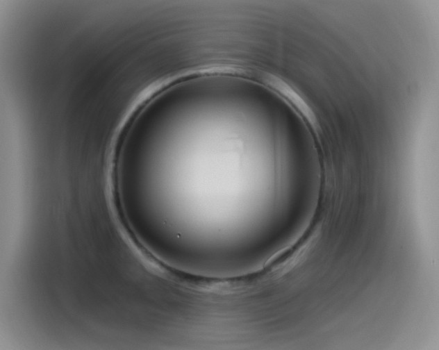 X0000115521093200911061412