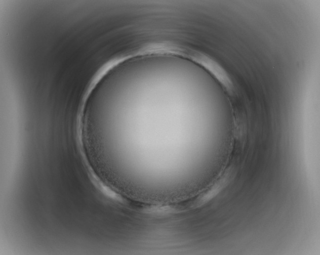 X0000115521094200911061412