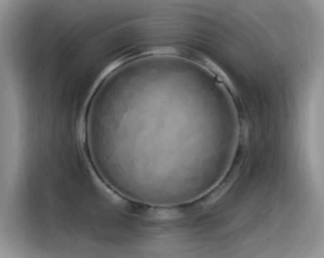 X0000115521095200911061412