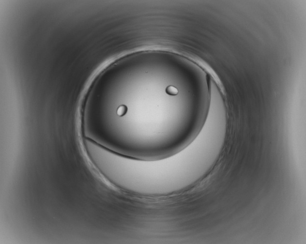 X0000115521096200911061412