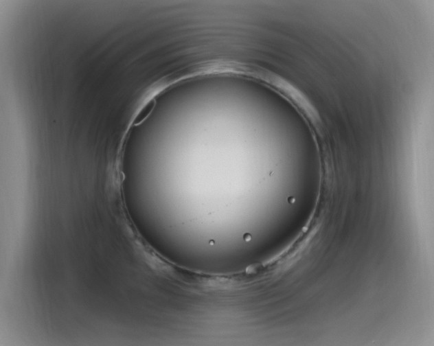 X0000115521097200911061412