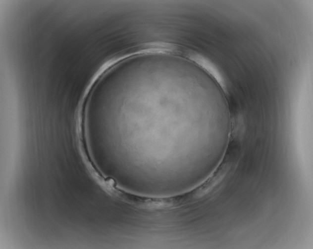 X0000115521099200911061412