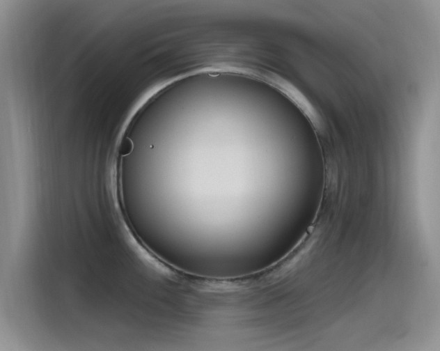X0000115521100200911061412