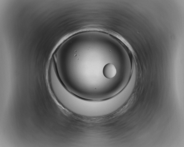 X0000115521101200911061412