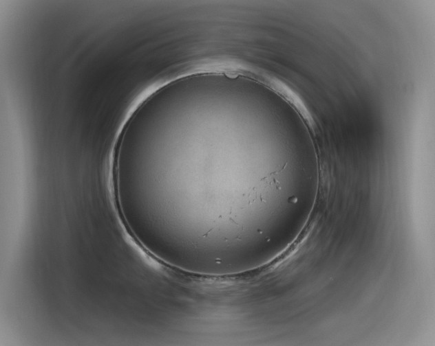 X0000115521103200911061412