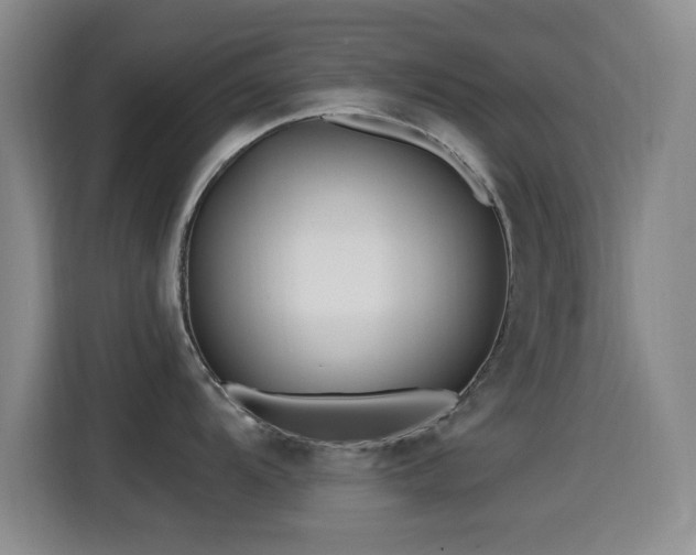 X0000115521104200911061412