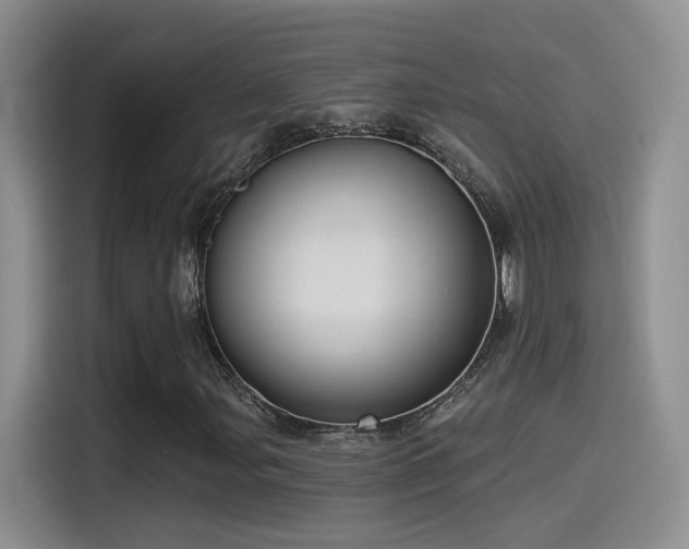 X0000115521107200911061412