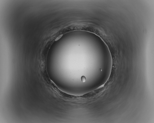X0000115521109200911061412