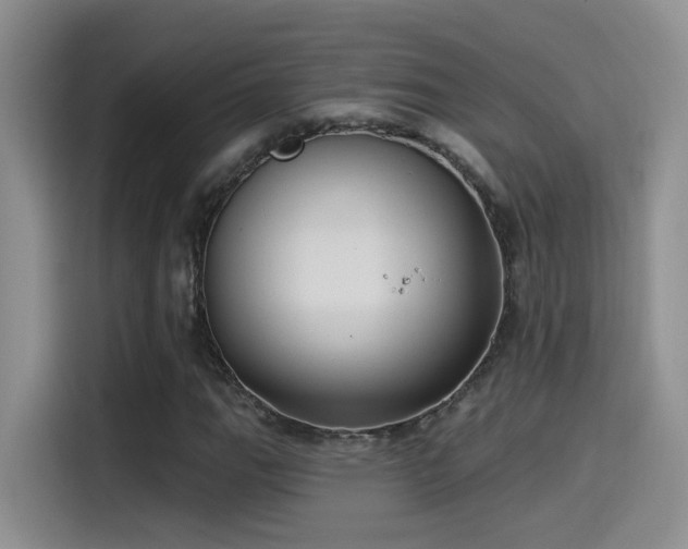 X0000115521111200911061412