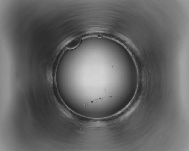 X0000115521113200911061412