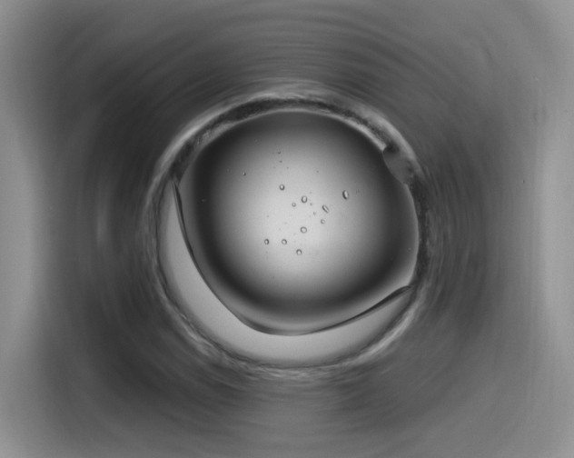 X0000115521114200911061412