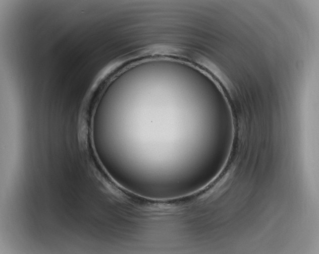 X0000115521115200911061412