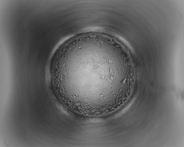 X0000115521117200911061412