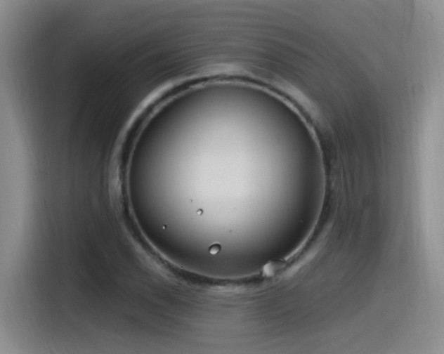 X0000115521118200911061412