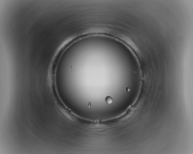 X0000115521119200911061412