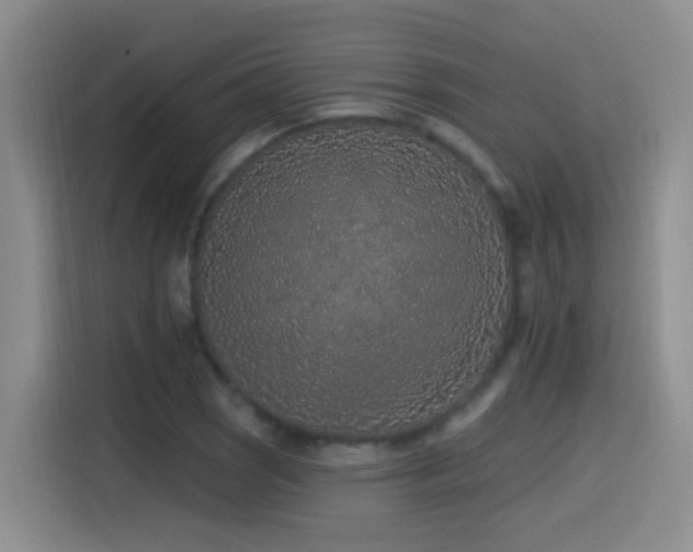 X0000115521121200911061412