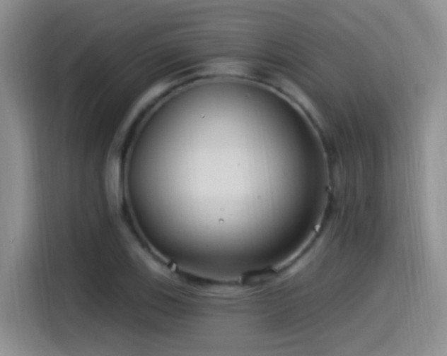 X0000115521123200911061412