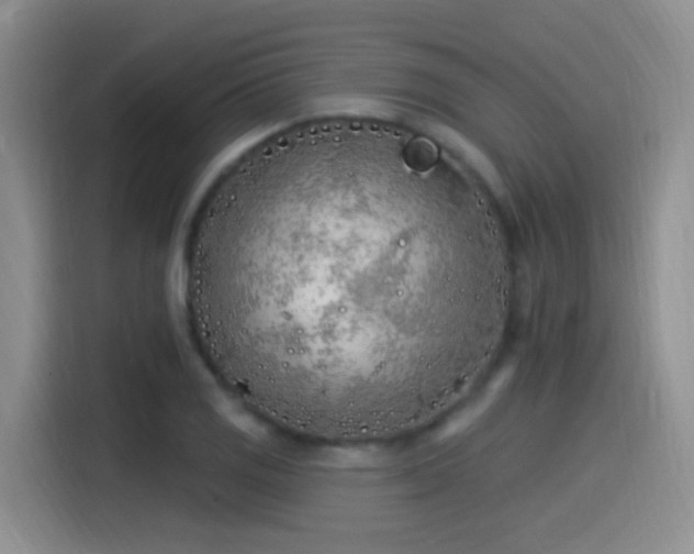 X0000115521125200911061412