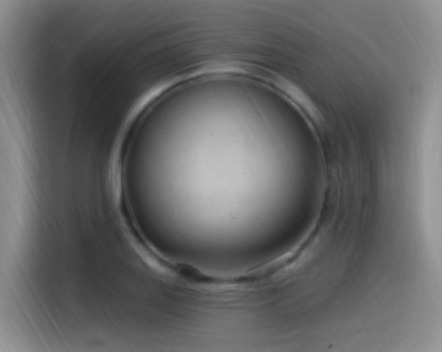 X0000115521127200911061412