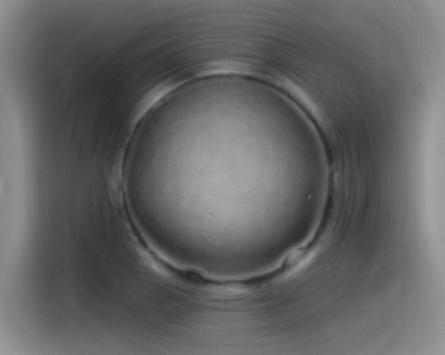 X0000115521129200911061412