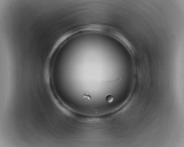 X0000115521131200911061412