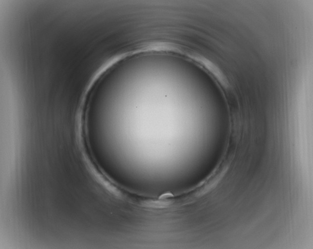 X0000115521134200911061412