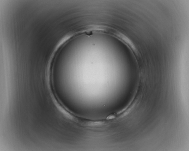 X0000115521135200911061412