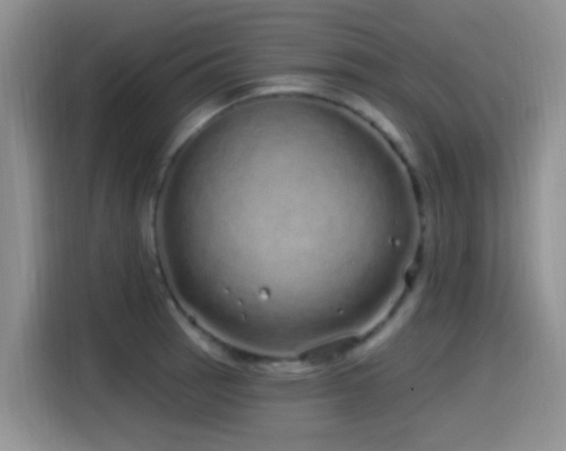 X0000115521137200911061412