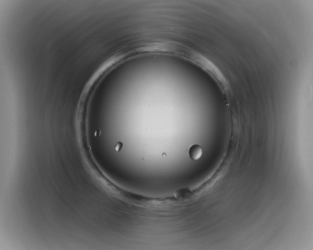 X0000115521138200911061412