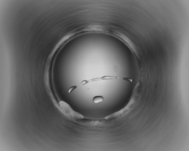 X0000115521139200911061412