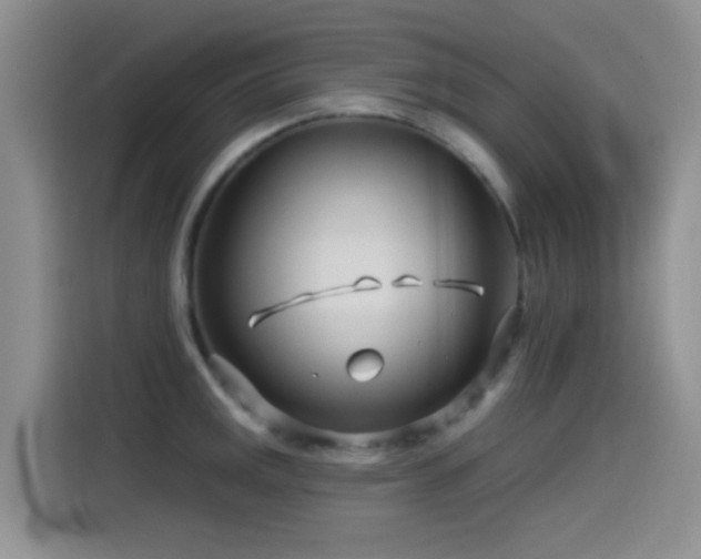 X0000115521141200911061412