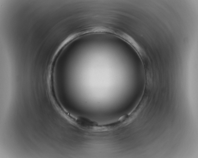 X0000115521142200911061412