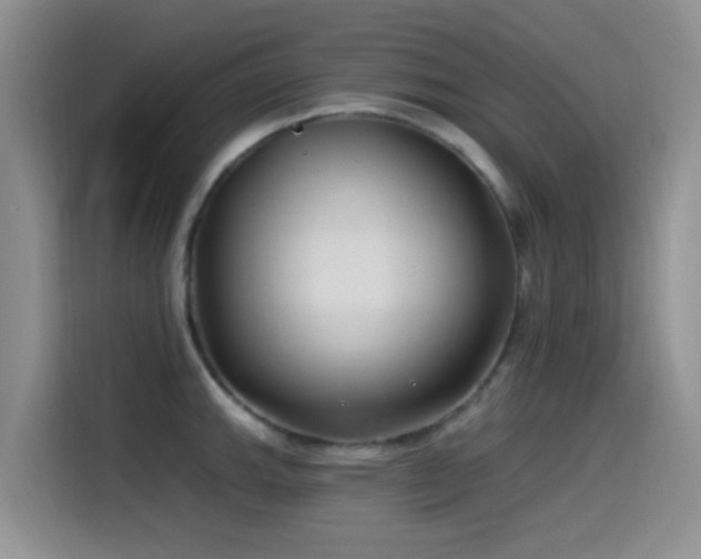 X0000115521143200911061412