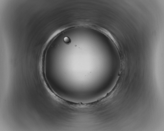 X0000115521147200911061412