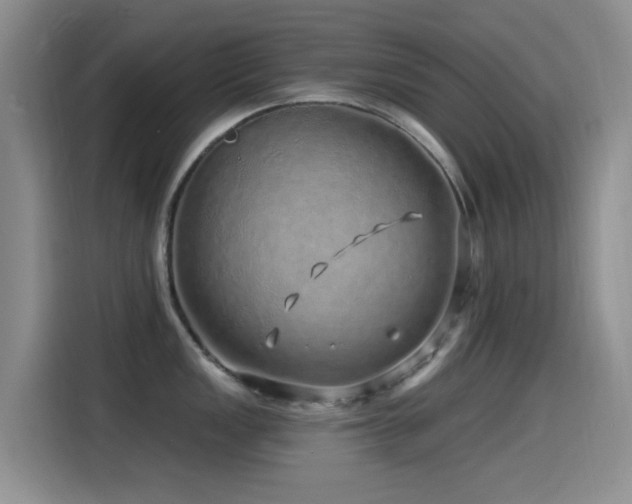 X0000115521149200911061412
