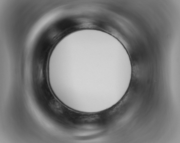 X0000115521150200911061412