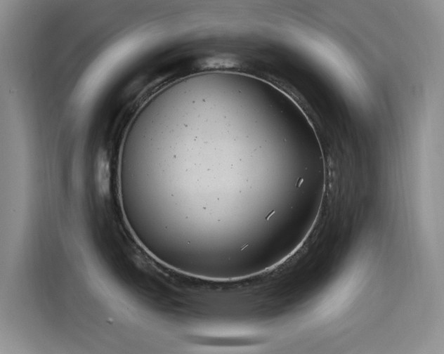 X0000115521151200911061412