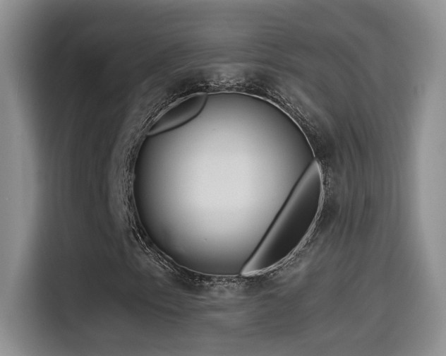 X0000115521153200911061411