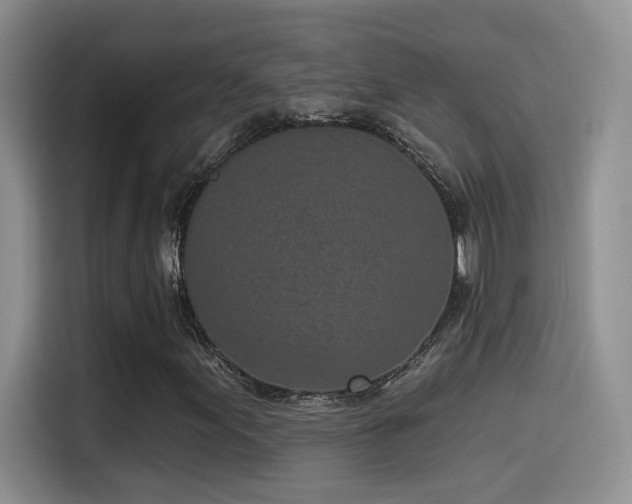 X0000115521155200911061411