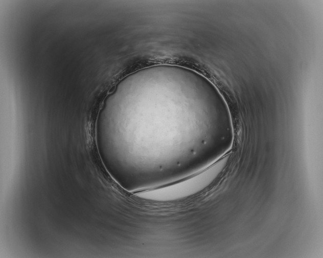 X0000115521156200911061411